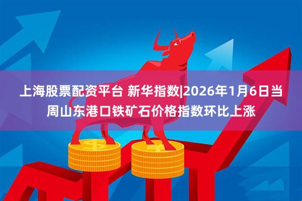 上海股票配资平台 新华指数|2026年1月6日当周山东港口铁矿石价格指数环比上涨